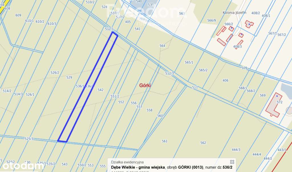 Lasy w miejscowości Górki - powiat Miński - Pełny obrazek: 4/5