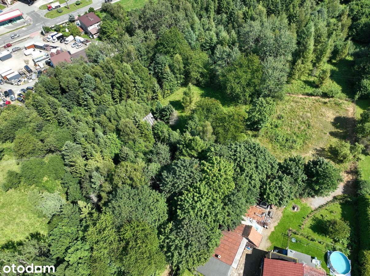 Na sprzedaż działka 66,68 a z zabudowaniami – Świnna, ul. Komarnik-6