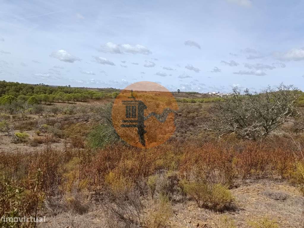 Terreno Rústico com 3.200 m2 sito na Murteira de Baixo, Azinhal em ... - Grande imagem: 5/20