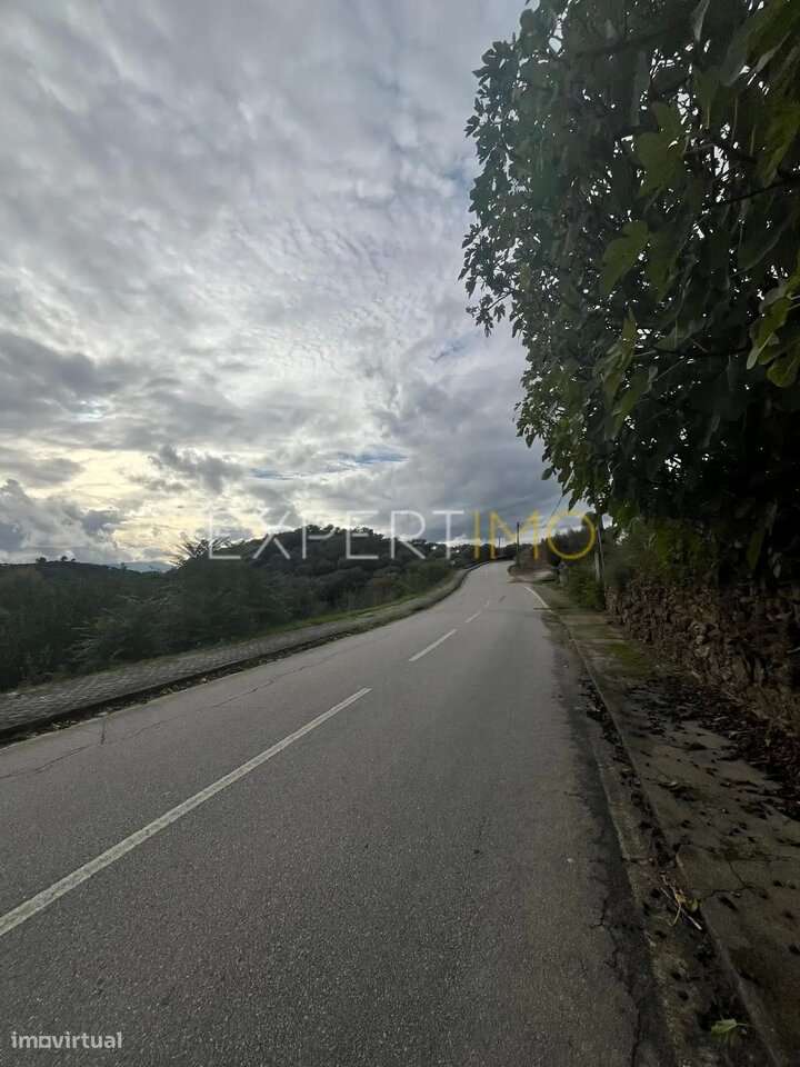 Moradia para recuperar Mirandela - Grande imagem: 5/16