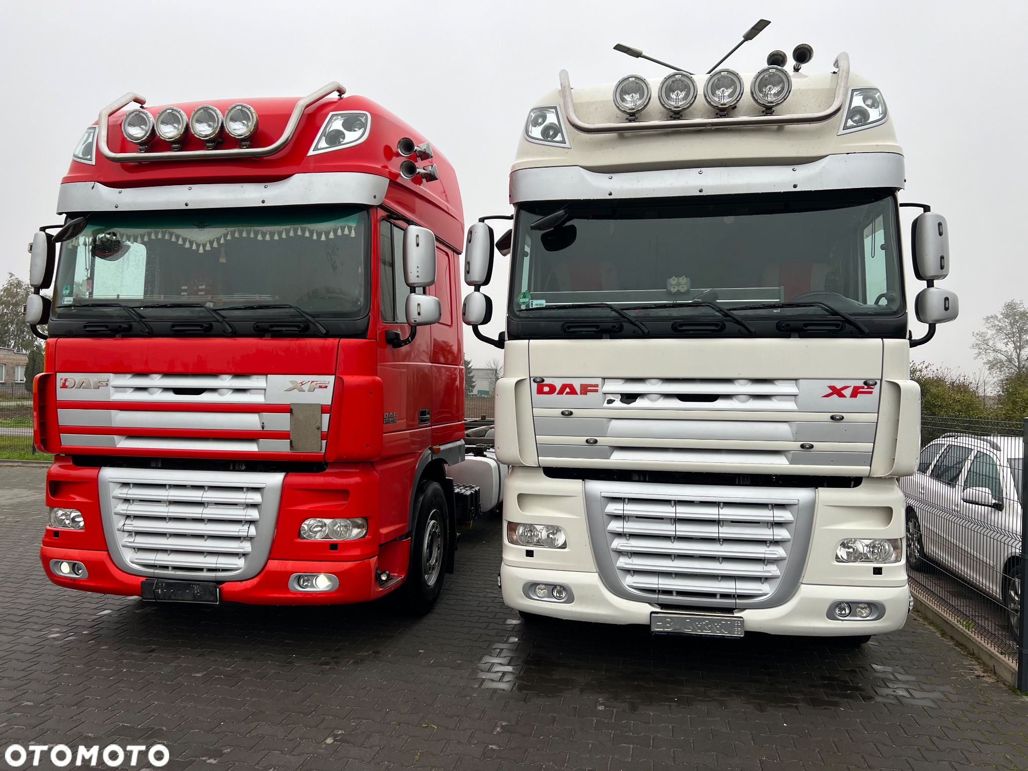 DAF XF 460 BDF - 4