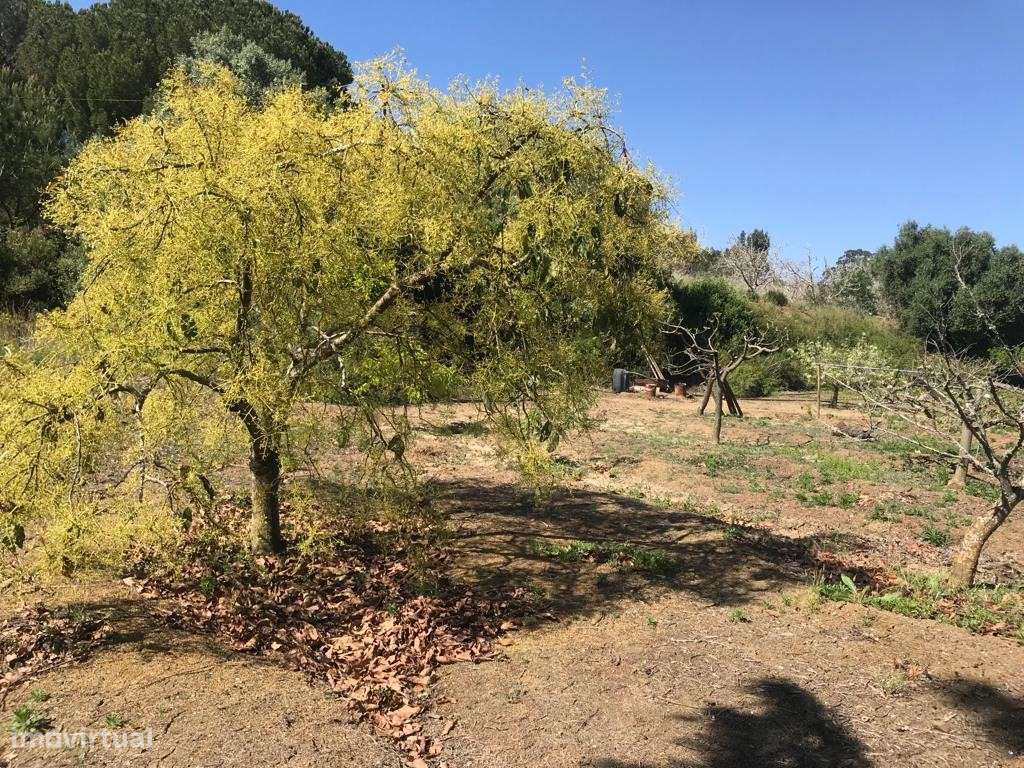 TERRENO Rústico (6.750 m2) - Grande imagem: 4/15