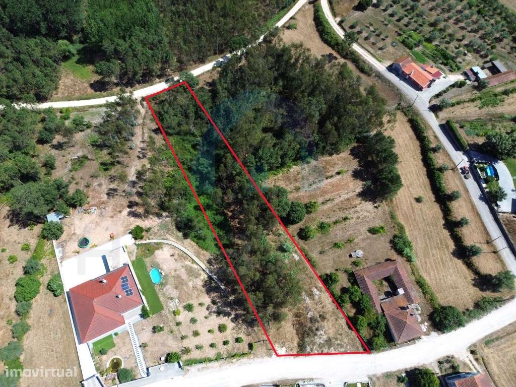 Terreno com Viabilidade de Construção - Pombal - Grande imagem: 3/12