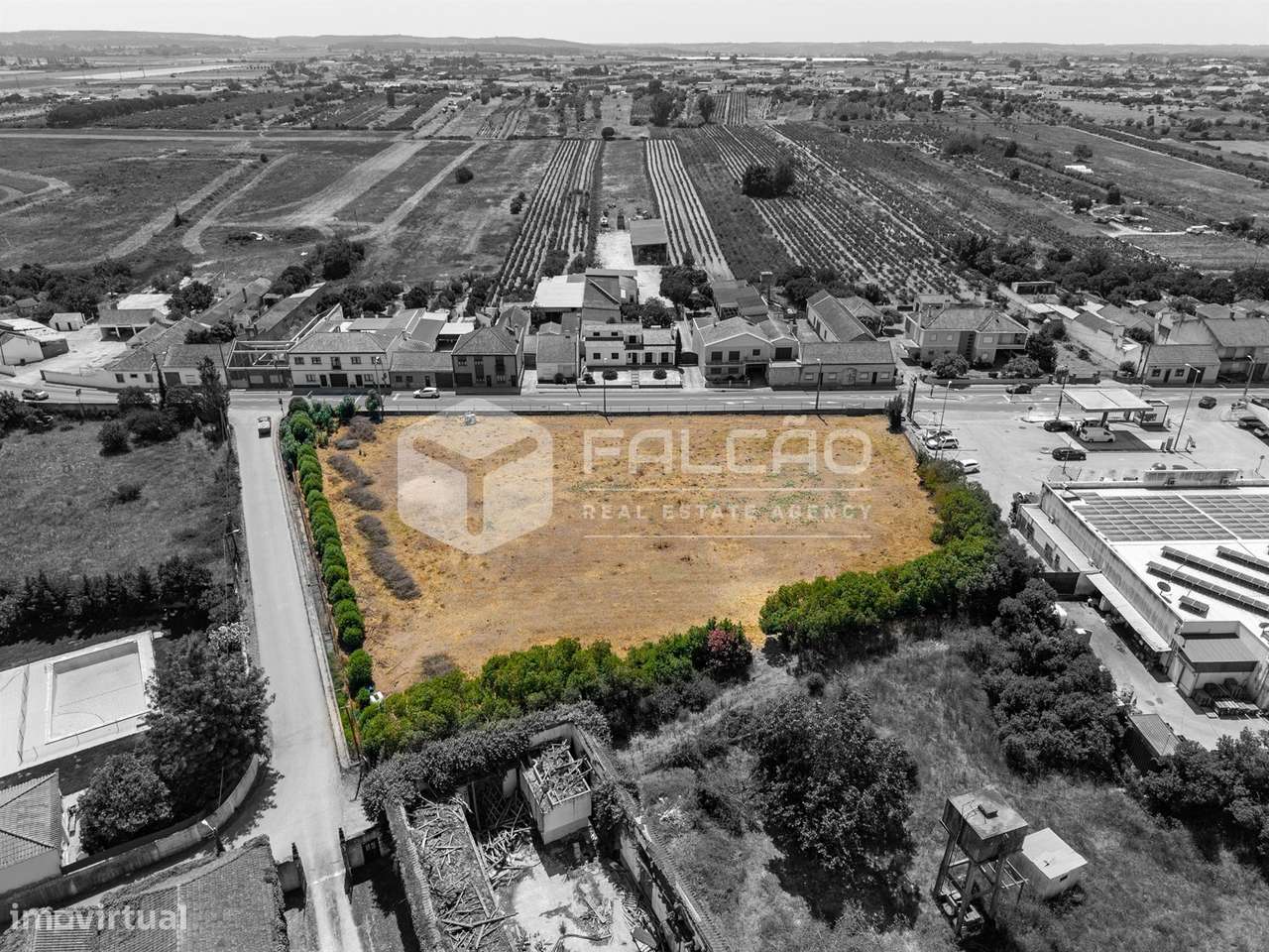 Terreno Para Construção  Venda em Alpiarça,Alpiarça-9