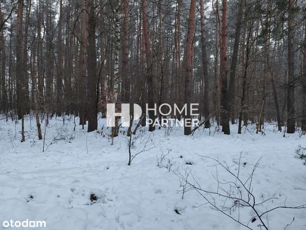 Najładniejsza działka w Urzucie las cisza i spokój-8