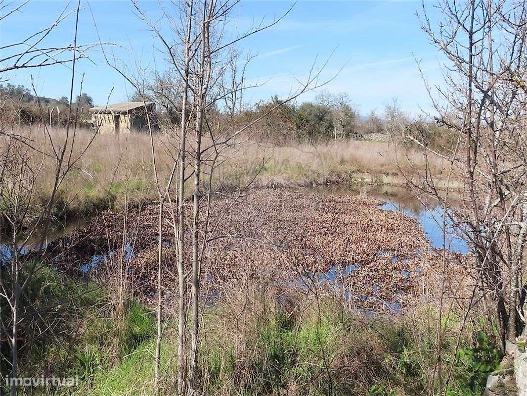 Quinta  para venda - Grande imagem: 4/32