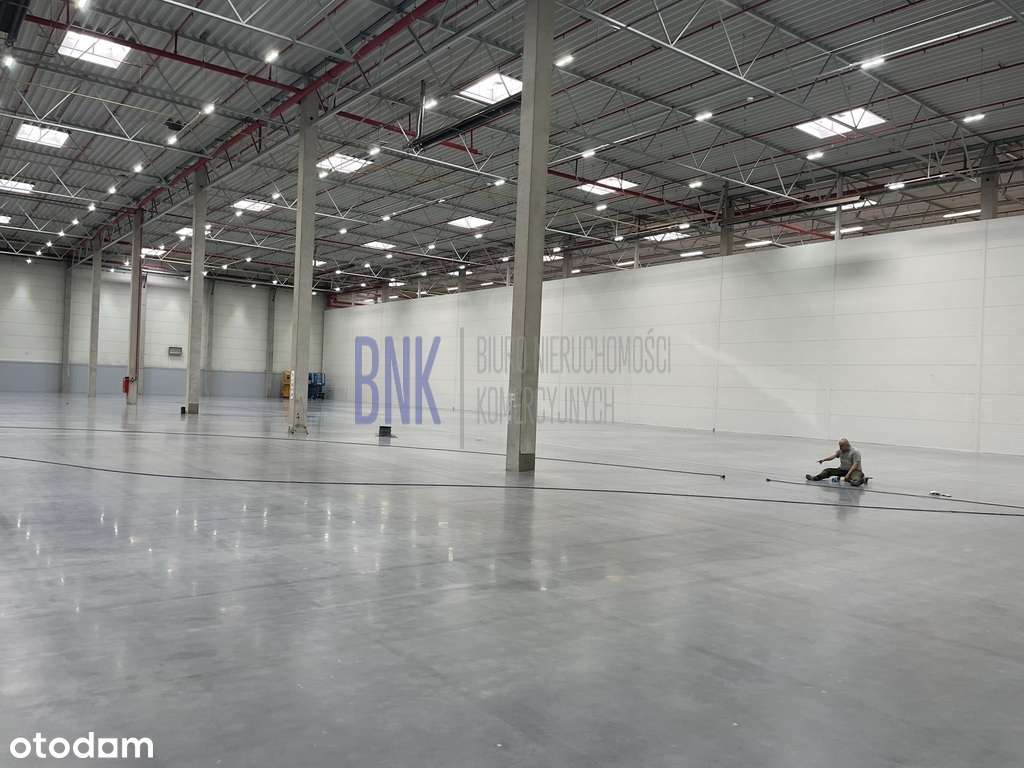 Nowoczesny magazyn na Targówku - Pełny obrazek: 4/4