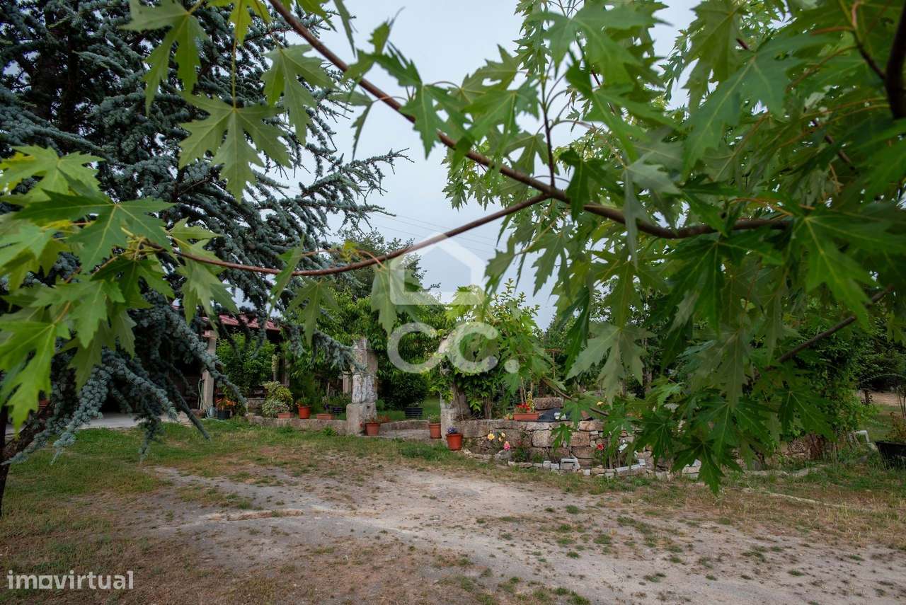 Quinta com moradia charmosa a poucos minutos do centro de Chaves-25