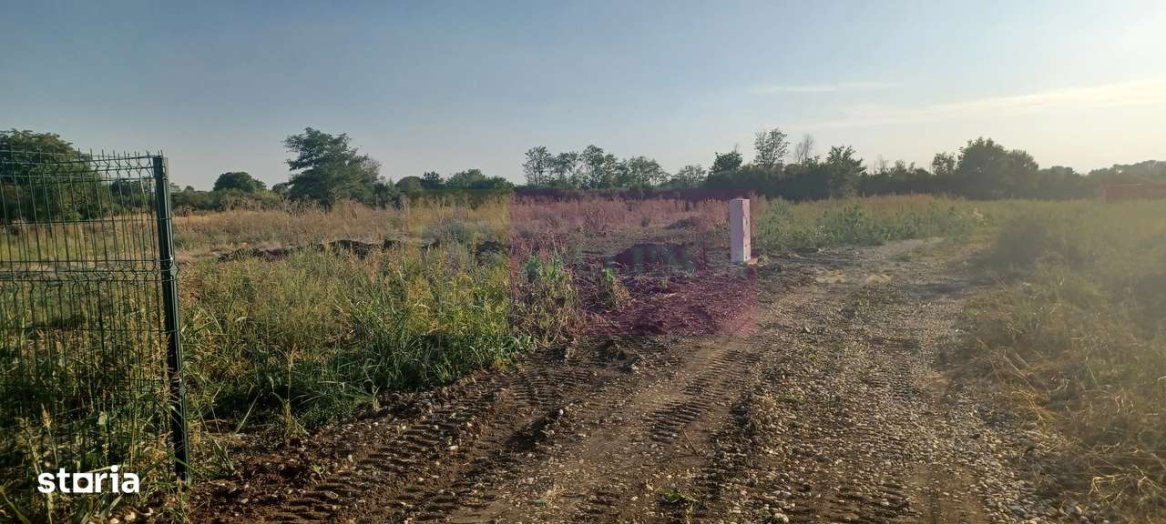 Săbăreni, lot de casă 500 mp, curent lângă teren - Imagine principală: 2/5