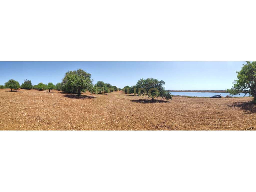 Quinta em Castro Marim a 5km da praia-31