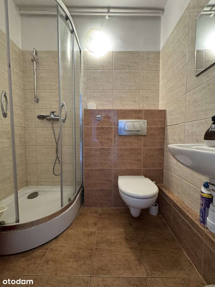 GRABISZYN  /BOREK - 3 POKOJE - ROZKŁAD - PIWNICA-4