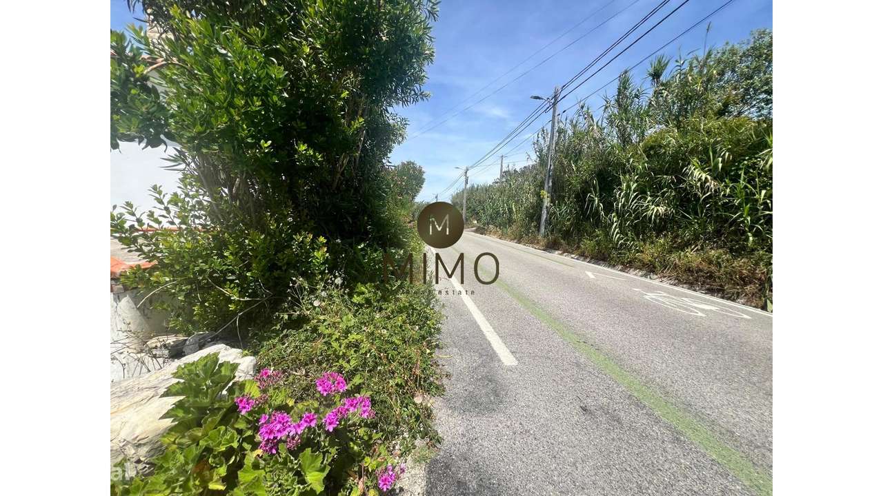 Oportunidade única na Murtinheira-1