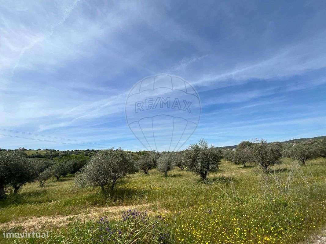 Terreno  para venda - Grande imagem: 1/12