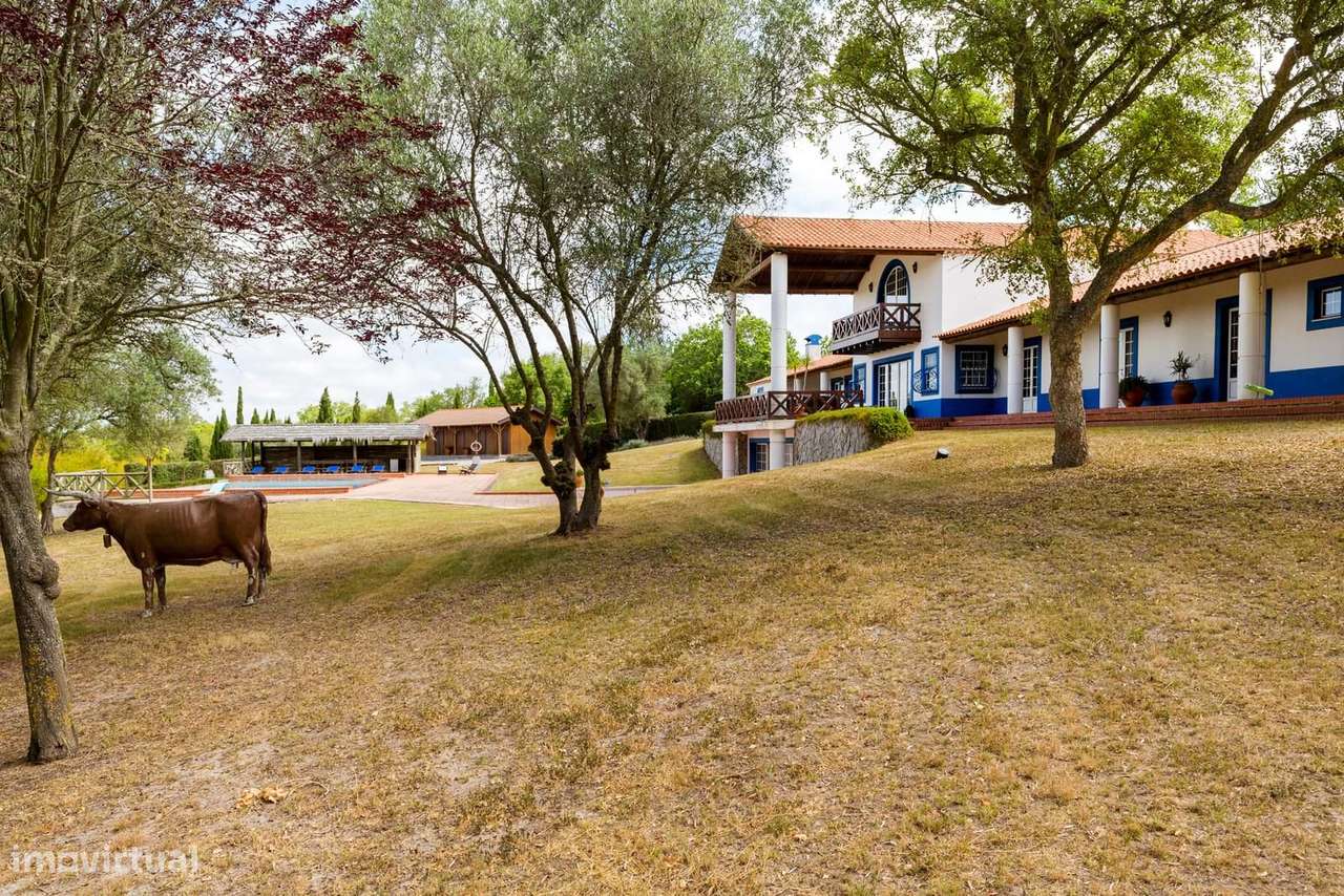 Herdade 18.0 ha, Vale Verde, Santiago do Cacem - Grande imagem: 3/55