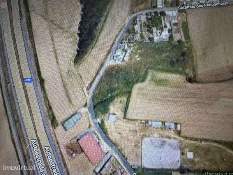 Terreno para agricultura ou criação de animais- Maia - Grande imagem: 5/5