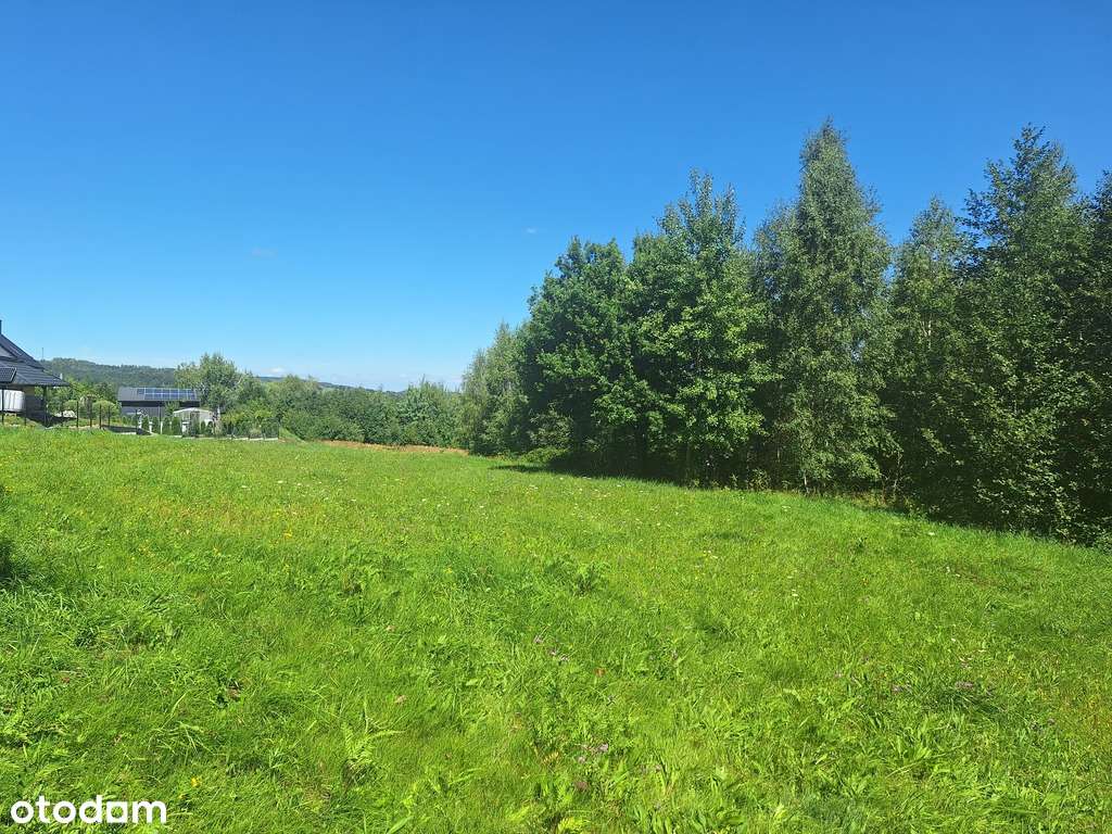 Dziaka budowlana w pobliżu lasu - polecamy! - Pełny obrazek: 4/15