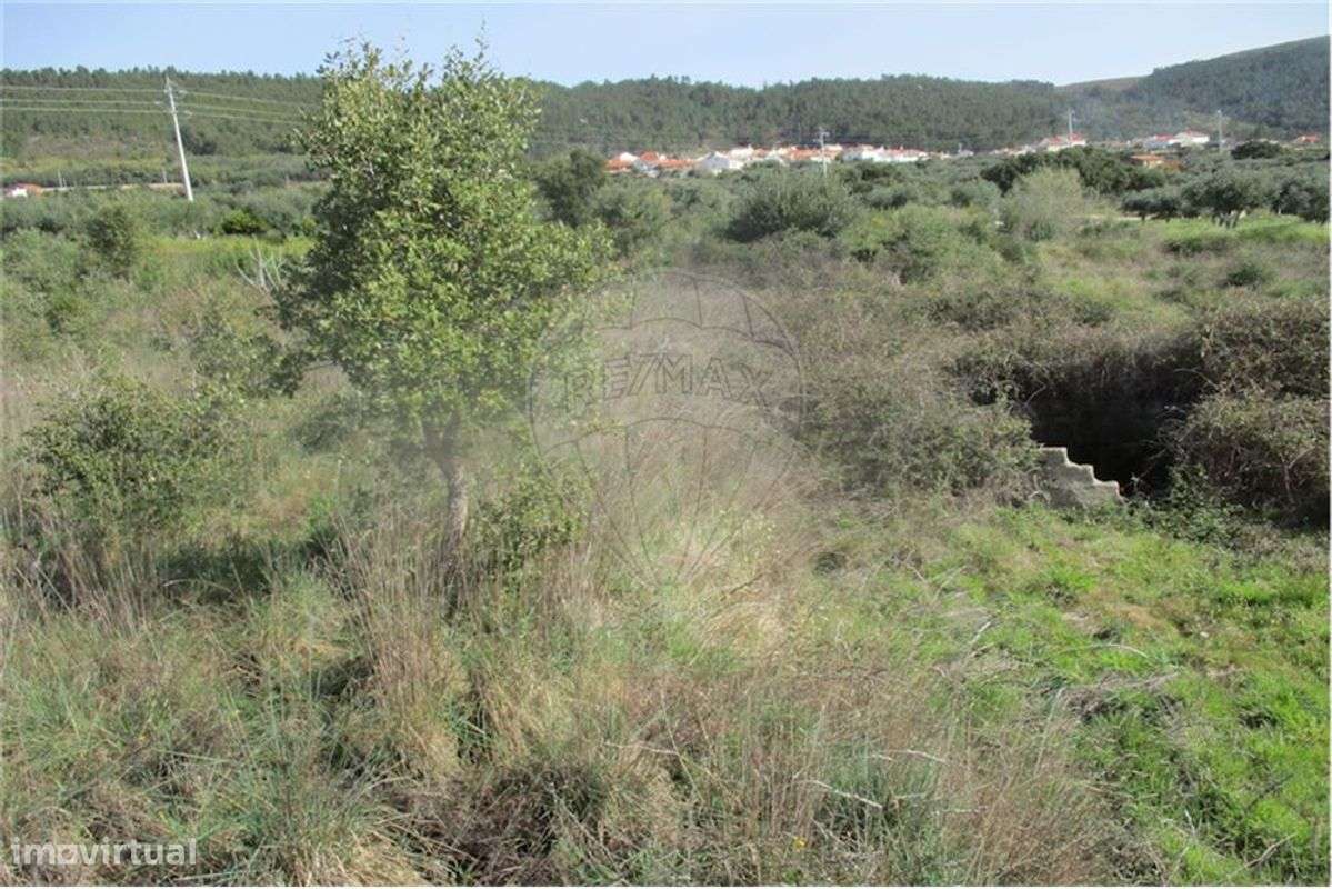 Quinta T0 para venda - Grande imagem: 5/46