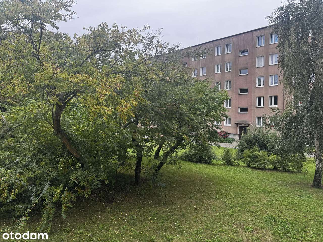 -Na Sprzedaż- os. Przyjaźni-2/3 pok-Po remoncie--6