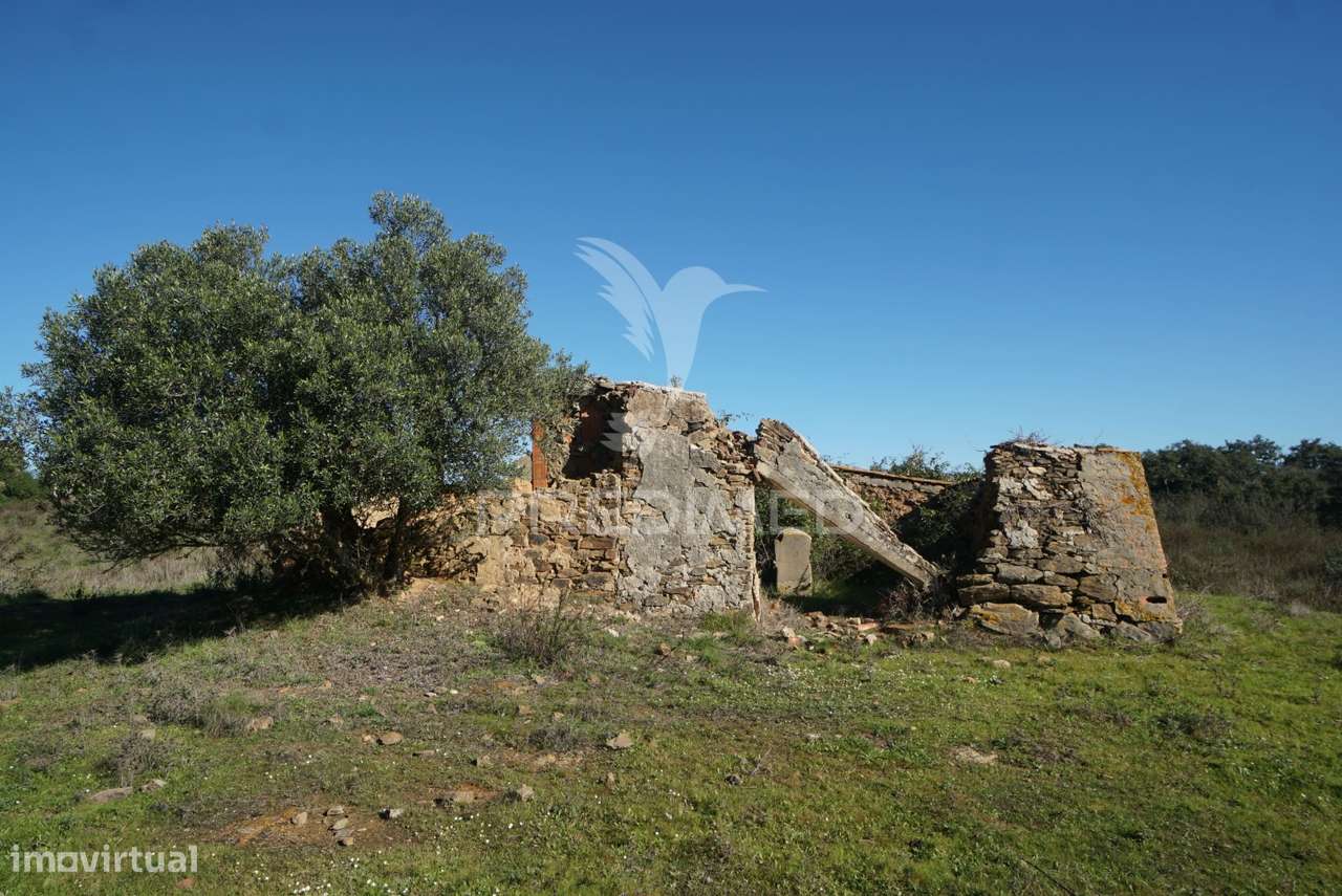 Herdade com 71 hectares e ruína de 174m2 - Grande imagem: 2/21