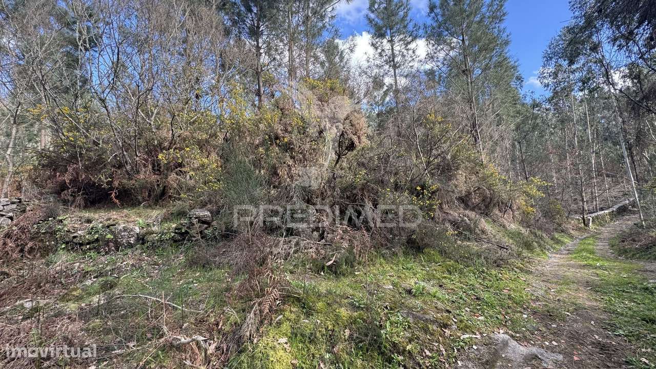 Terreno Florestal com 9.938 m² | Sá, Arcos de Valdevez - Grande imagem: 5/30