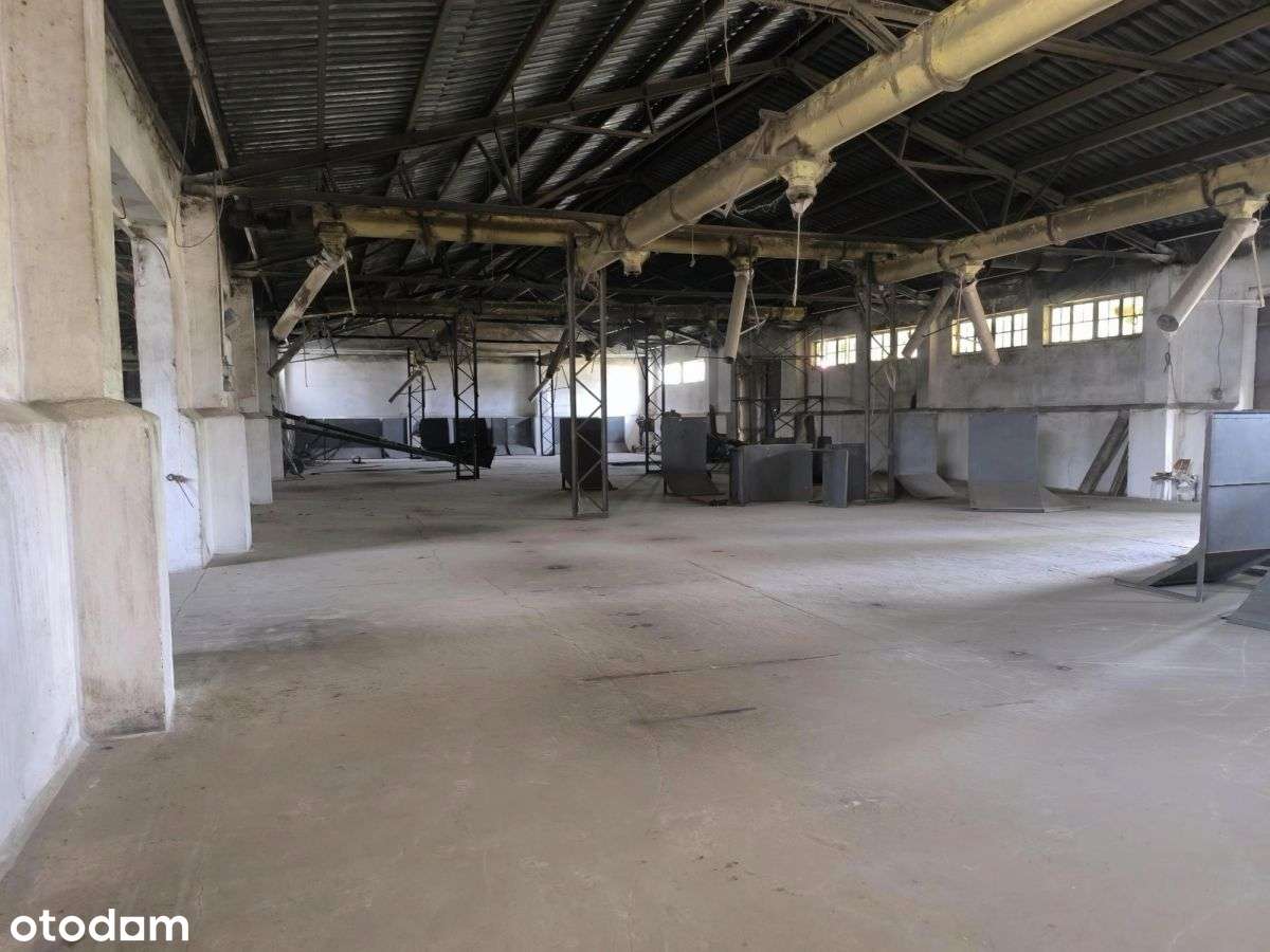Hala magazynowo-produkcyjna z zapleczem biurowym-6