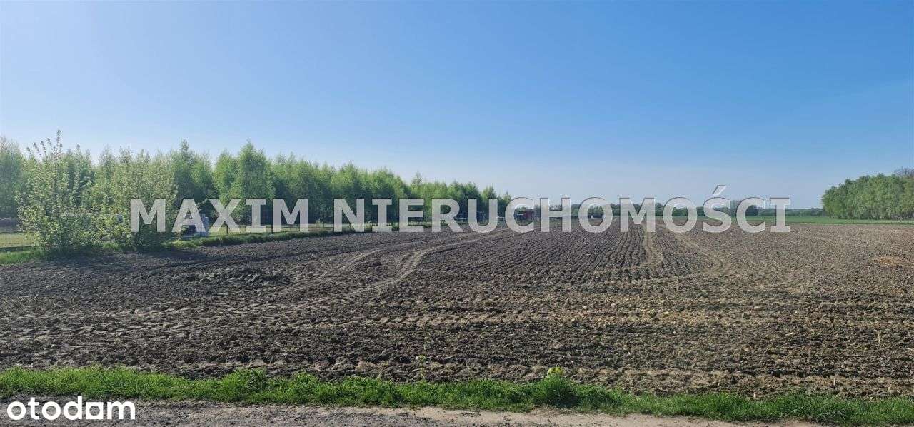 Działka Poczernin koło Płońska - Pełny obrazek: 5/5