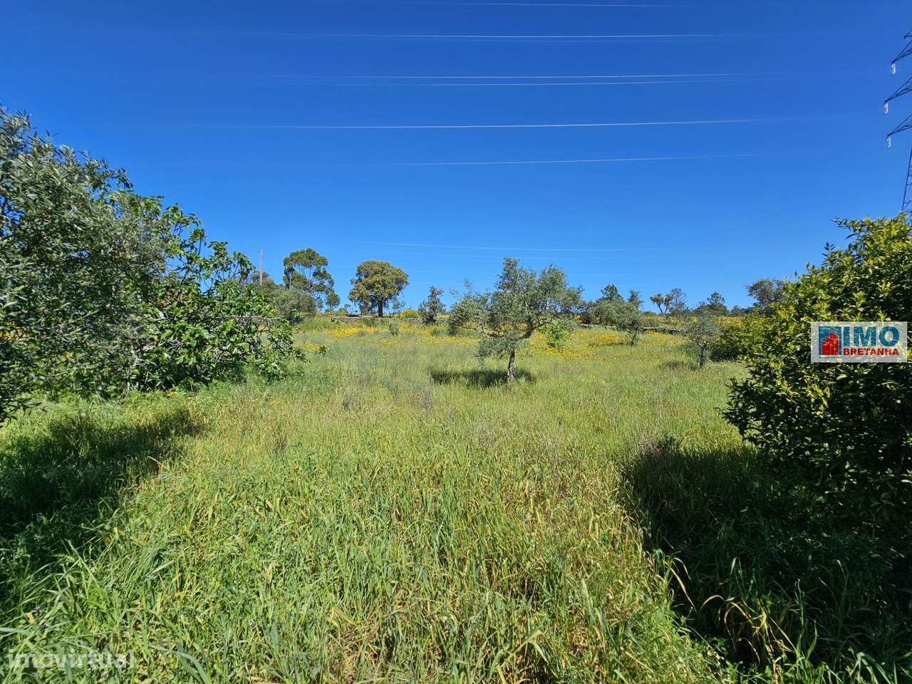 Terreno em Amarelos - 15 min Castelo Branco - Grande imagem: 3/15