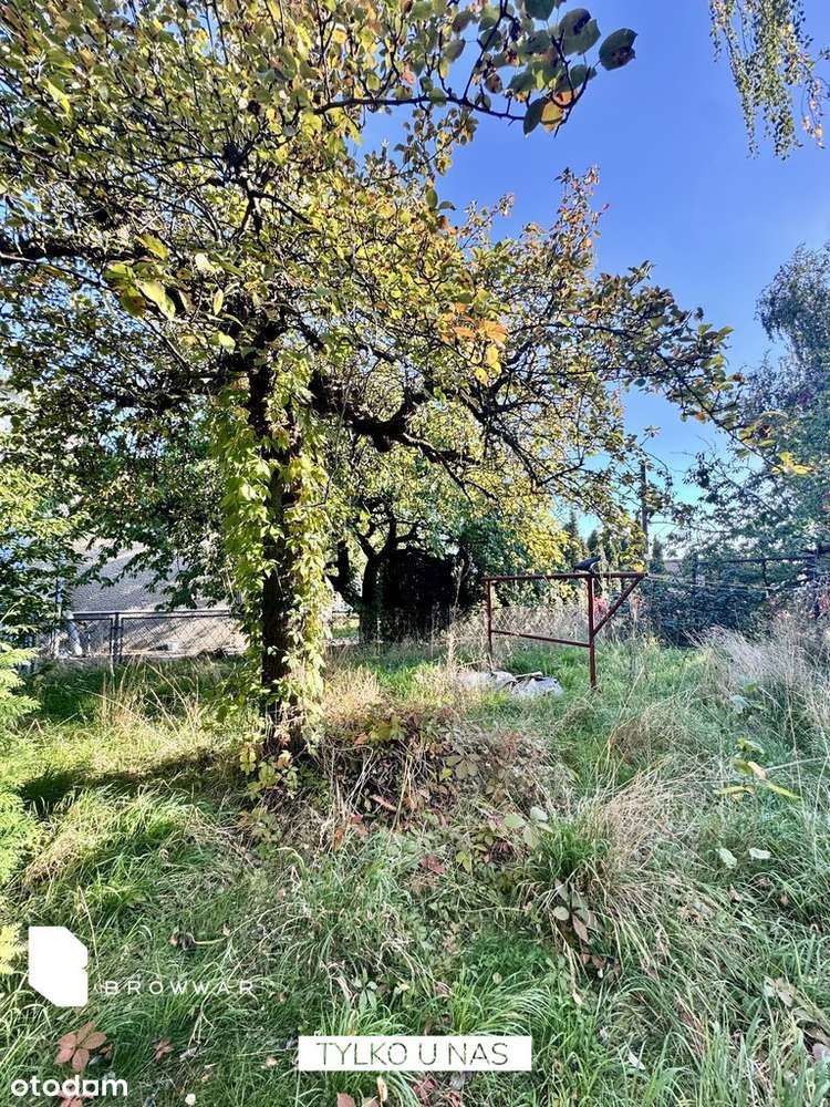 DOM DO REMONTU + 2 DZIAŁKI BUDOWLANE | 1 624 m²-5