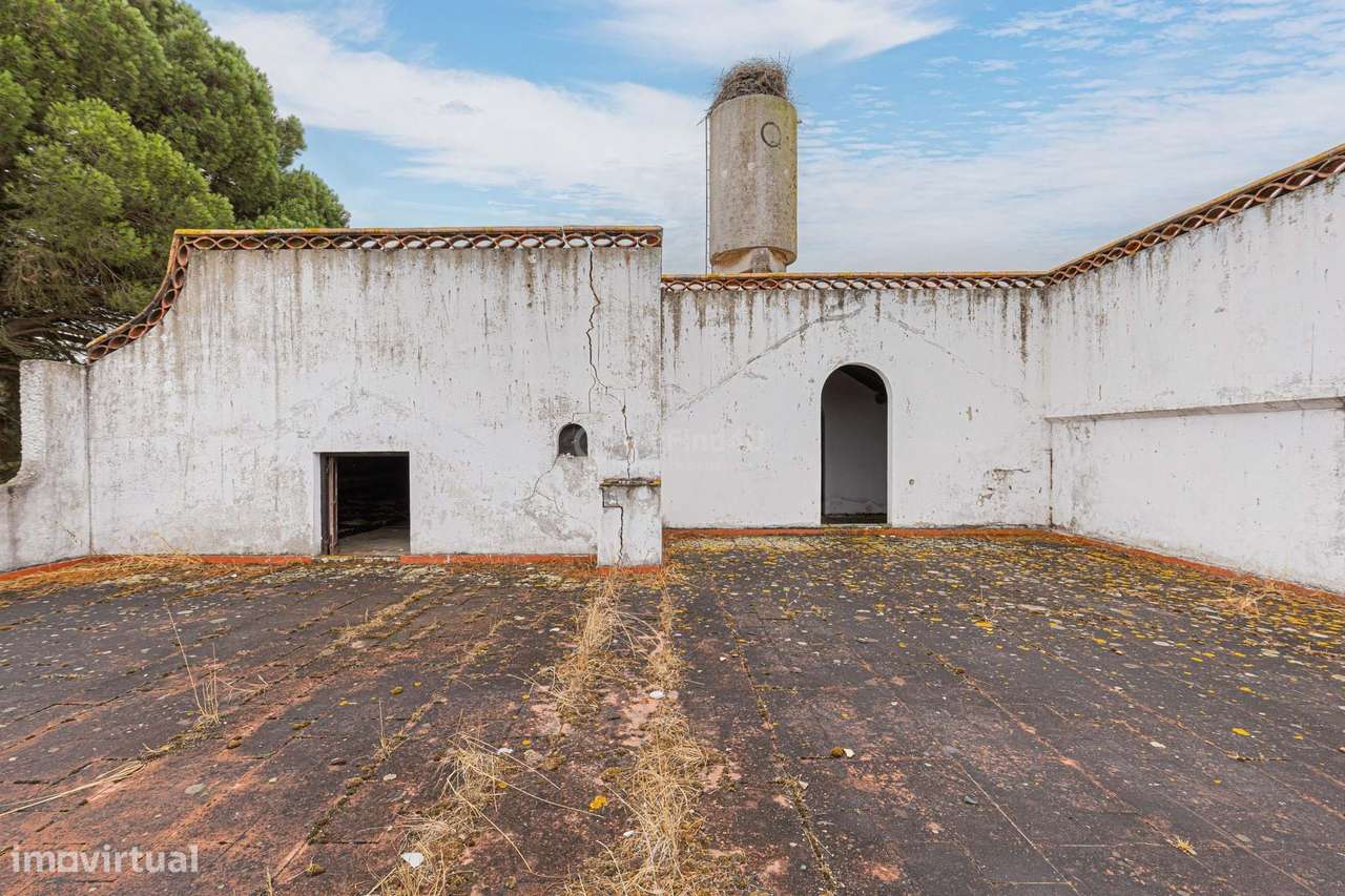 Quinta do Sol - Pegões-31