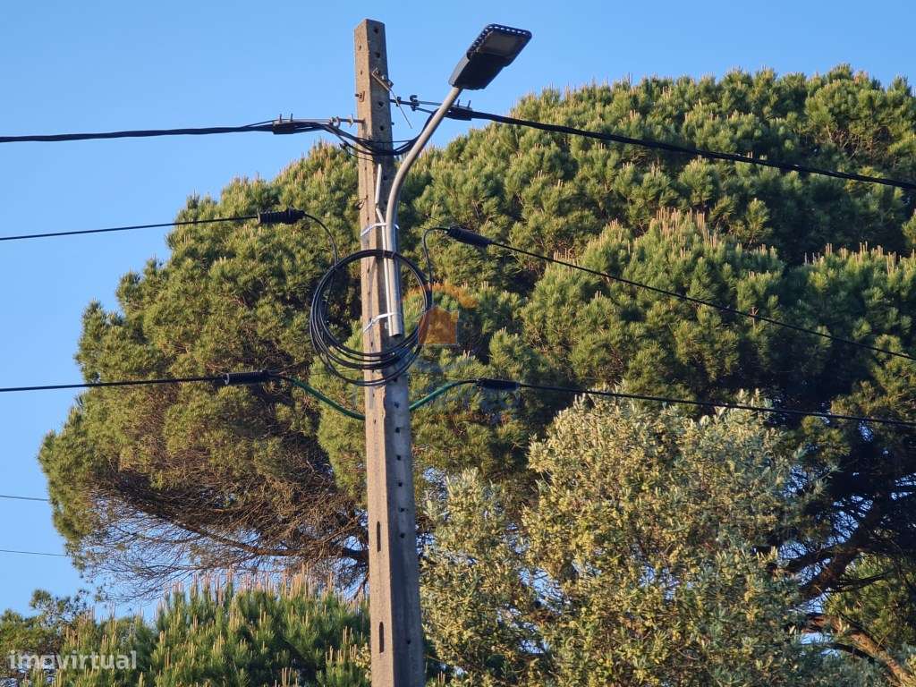 MTM6873 - Quintinha 3.000m2 | Torres Vedras - Grande imagem: 5/7