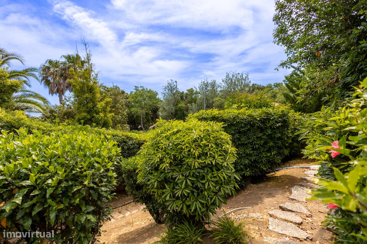 Obra-prima dos anos 70 com potencial ilimitado-15