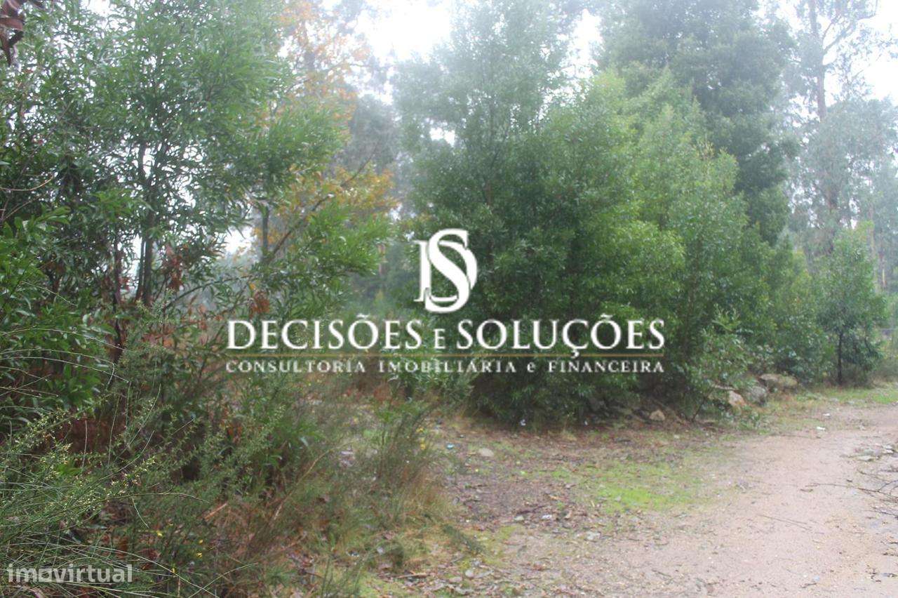 Terreno, Porto, Paços de Ferreira, Carvalhosa - Grande imagem: 3/8