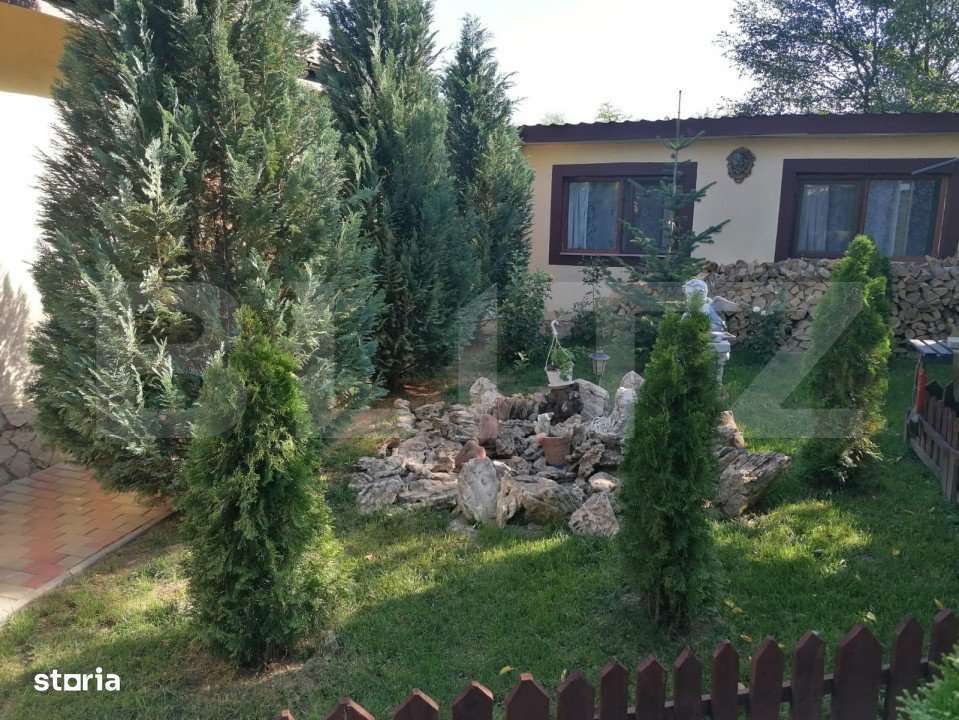 Casa 5 camere, 1100 mp teren, Birnova - Imagine principală: 3/11