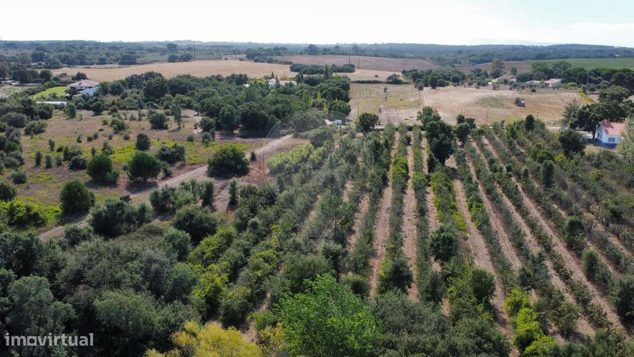 Terreno  para venda - Grande imagem: 4/4