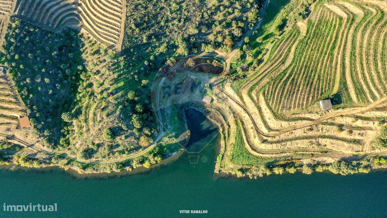 Quinta T5 para venda - Grande imagem: 4/31