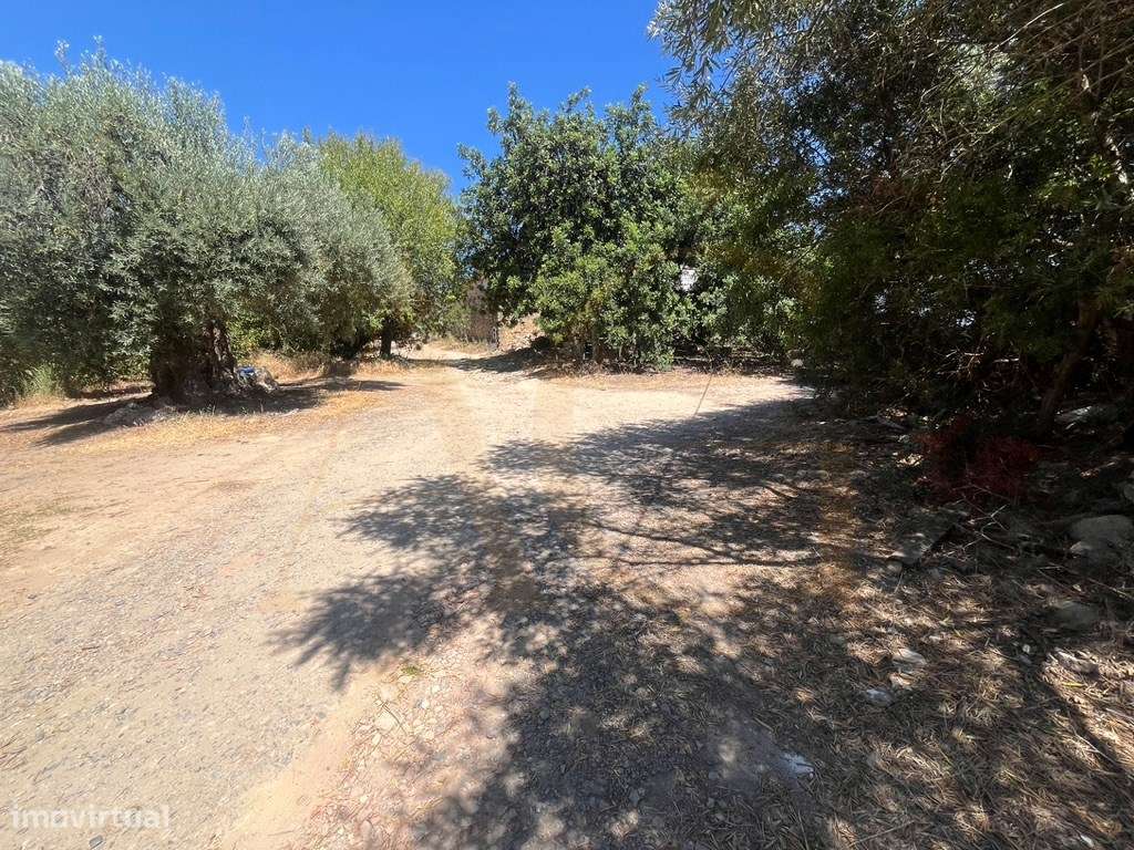 Quinta com duas casas, vistas para o mar e 11.940 m² de terreno em ...-53