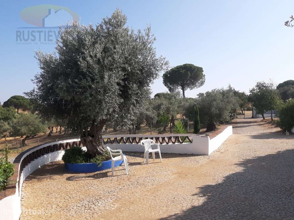 Quinta com 16 ha, com 4 Moradias Unifamiliares, piscina e várias ár...-24