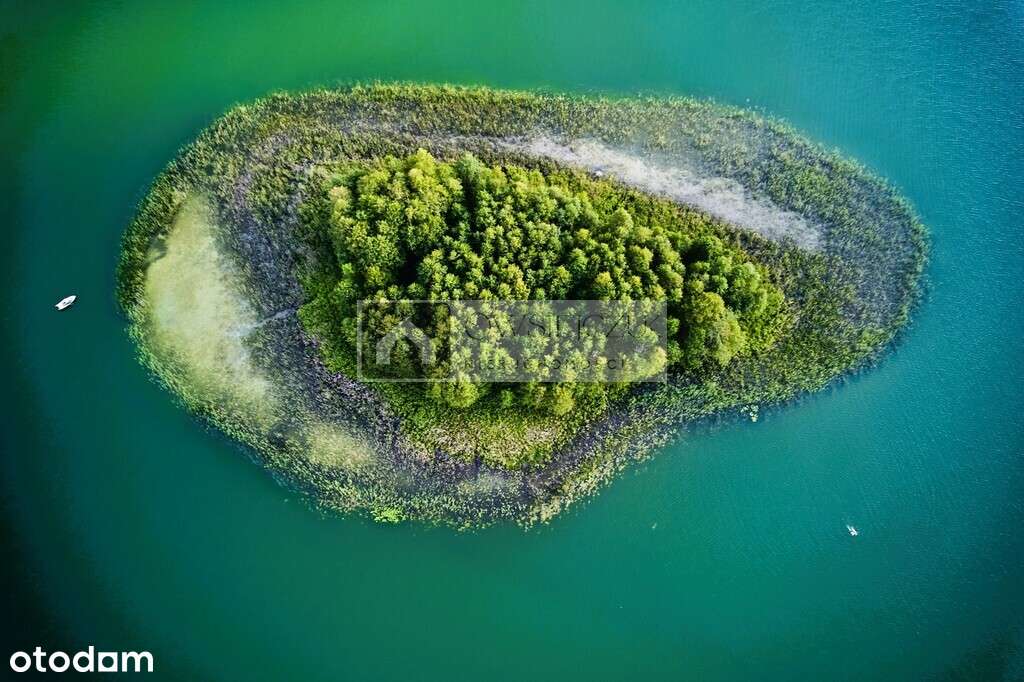 Dom letniskowy w sercu Puszczy Augustowskiej - Pełny obrazek: 5/20