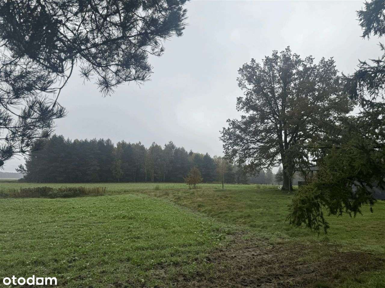 Pasywny dom (2,4 Ha) w Parku Krajobrazowym-10