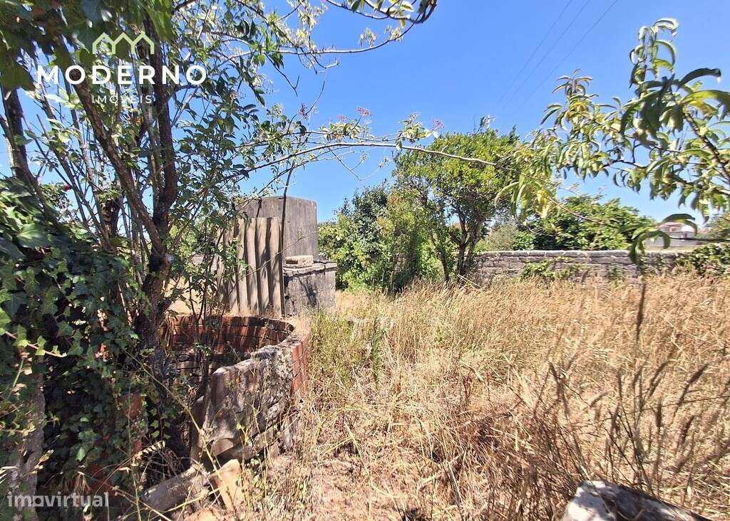 Moradia para recuperar – Guia, Pombal-37