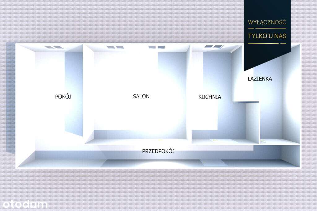 Mieszkanie 2-pokojowe do remontu | Robotnicza-10