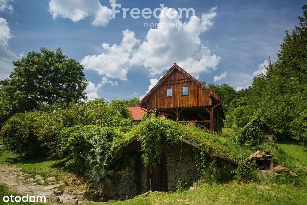 Dom w Bieszczadach-5