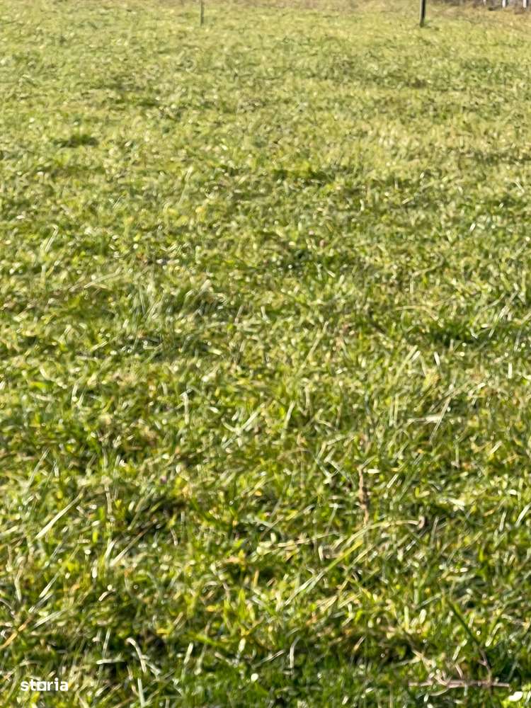 Teren 3100 MP Unirea - pretabil complex case-1