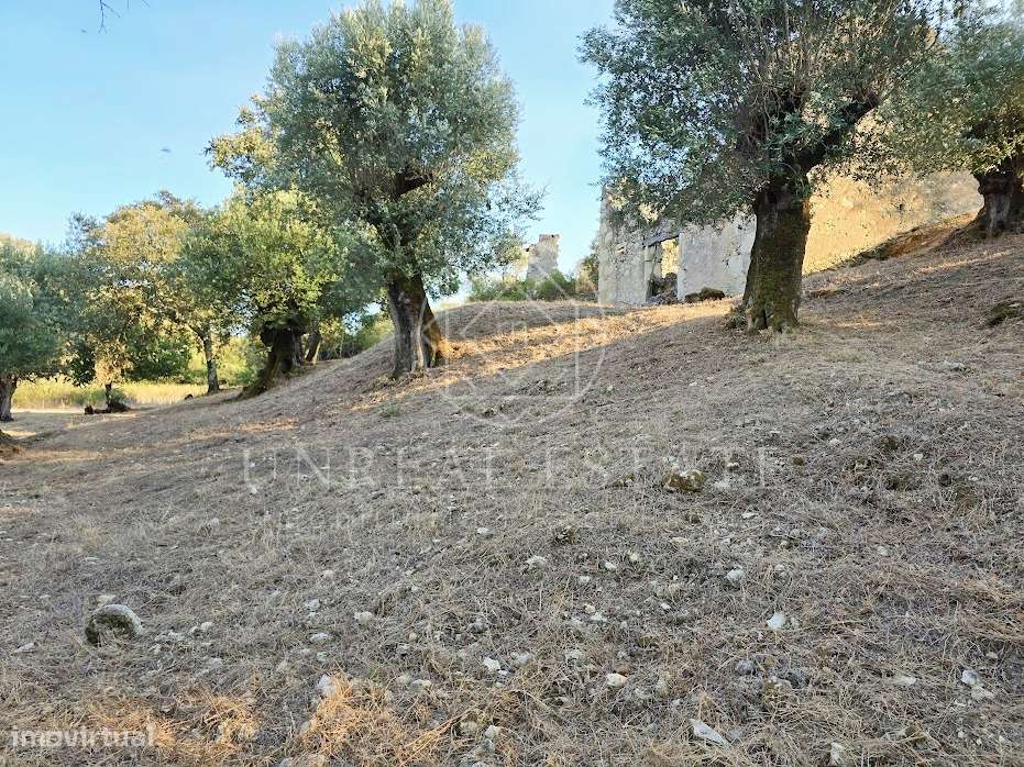 Terreno Misto  Venda em Torres Novas (São Pedro), Lapas e Ribeira Bran-7