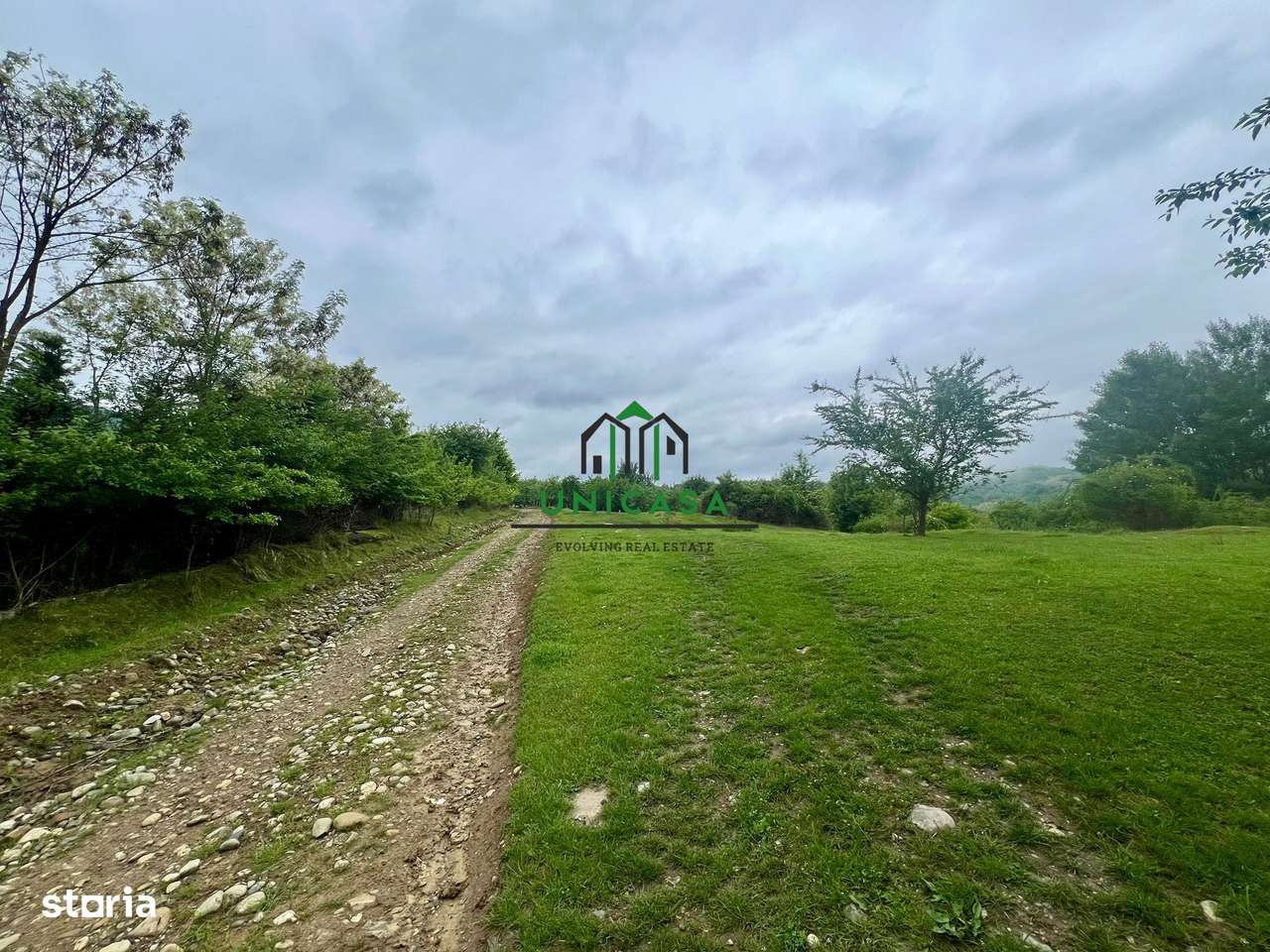 Teren 3507 mp/ Seaca/Calimanesti - Imagine principală: 3/4