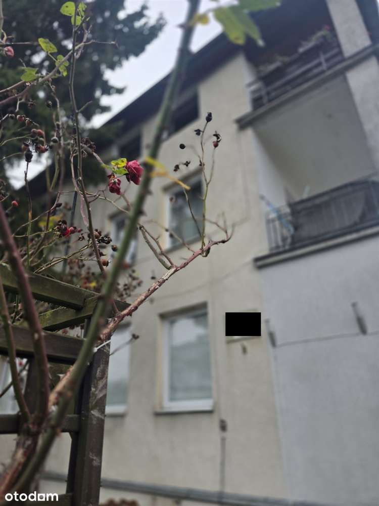 Dom w zabudowie bliźniaczej Stare Włochy-4