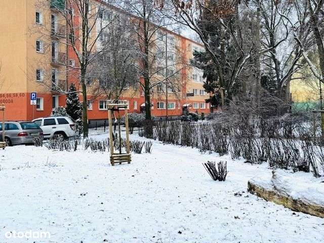 Grunwald, ul. Swoboda, 61m2, 4pok.-12