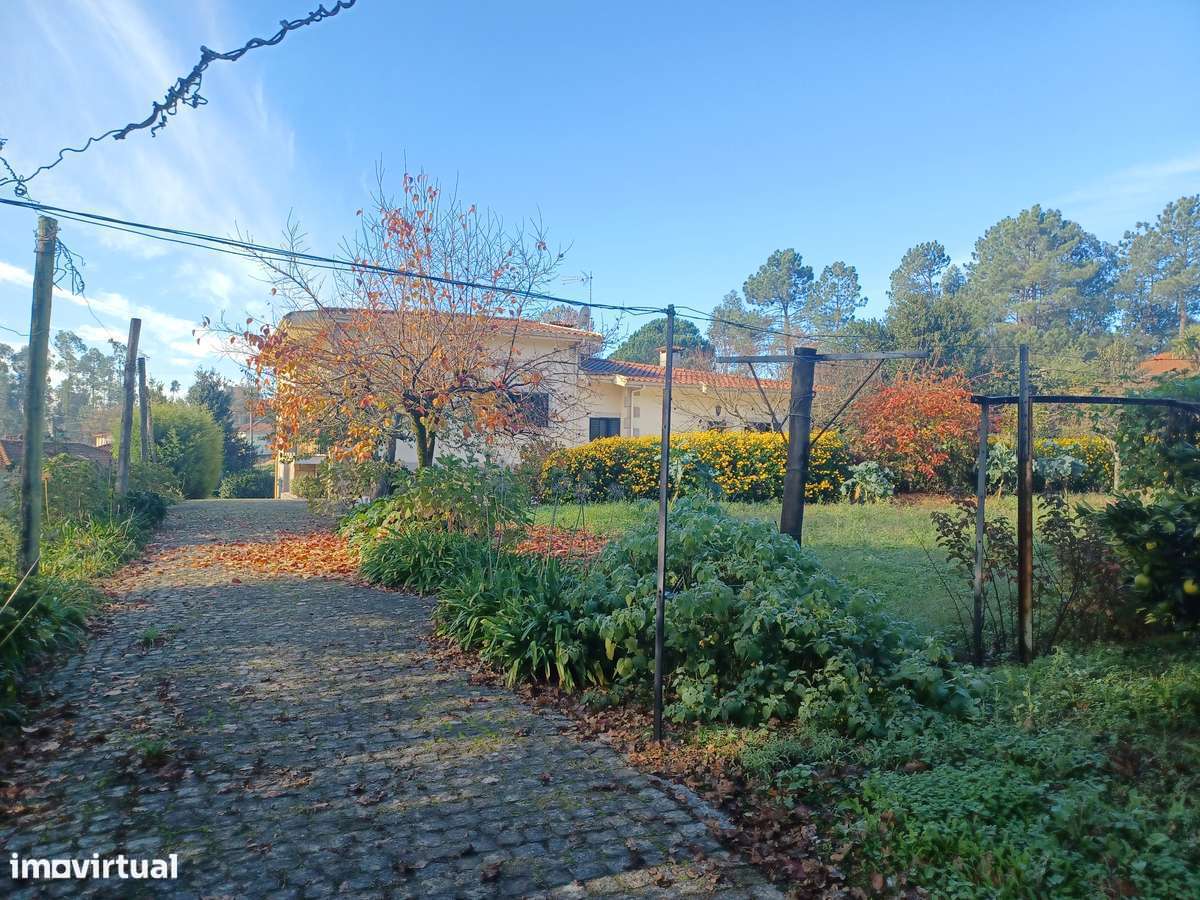 Mor.INDIVIDUAL  2300m2 de terreno + artigo urbano (Tipo T0)  em Lago - Grande imagem: 4/46