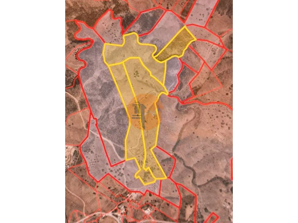 TERRENO COM 99.080 m2 - COM APOIO AGRICOLA EM RUINAS - POSSIBILIDAD... - Grande imagem: 2/31