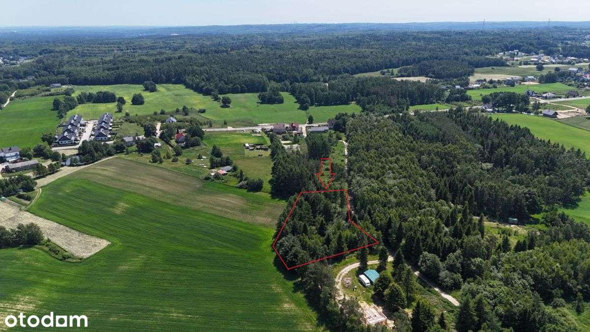 Działka budowlana przy lesie-1